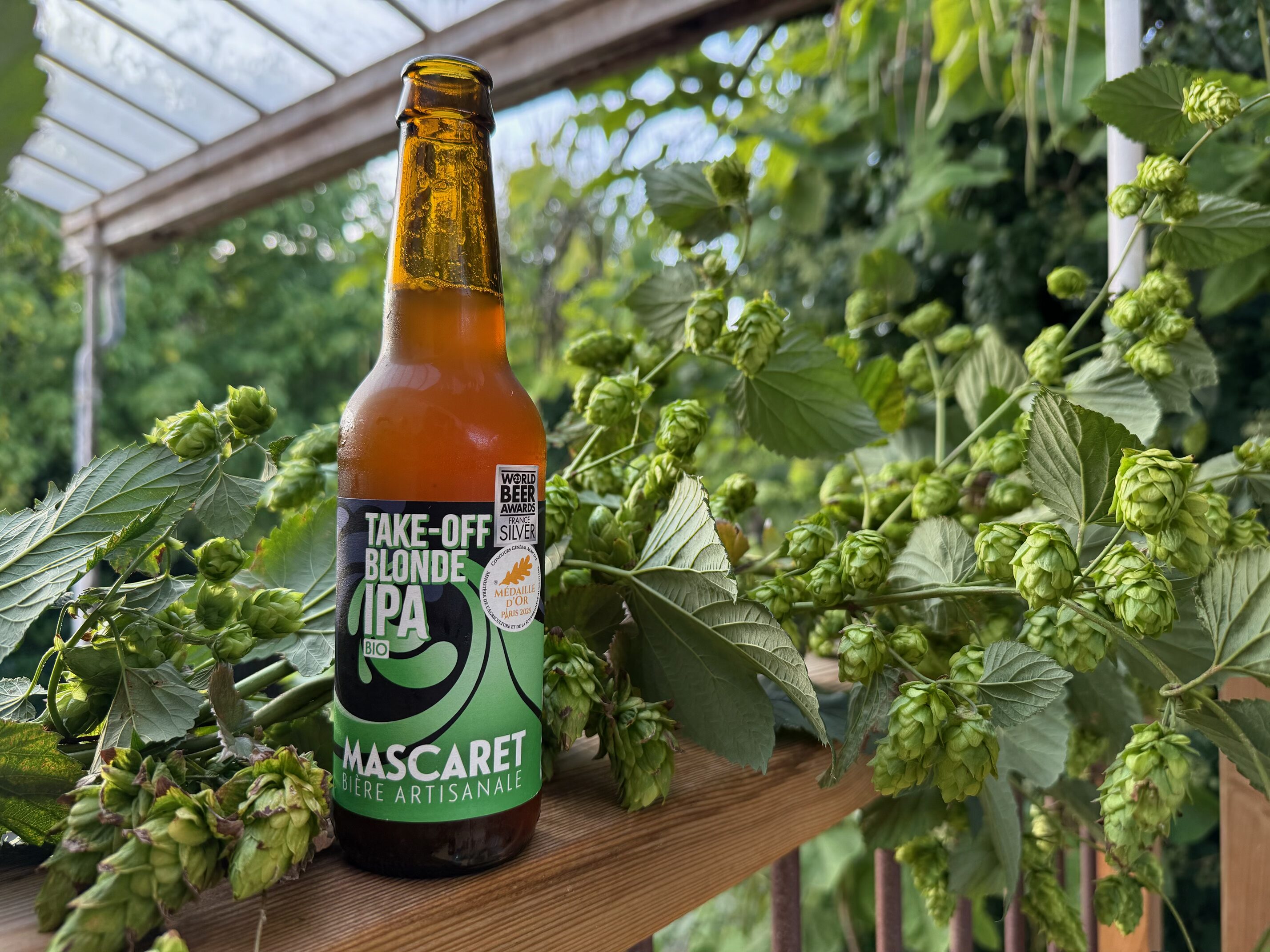 Blonde Take-Off IPA Mascaret au milieu des lianes de houblon